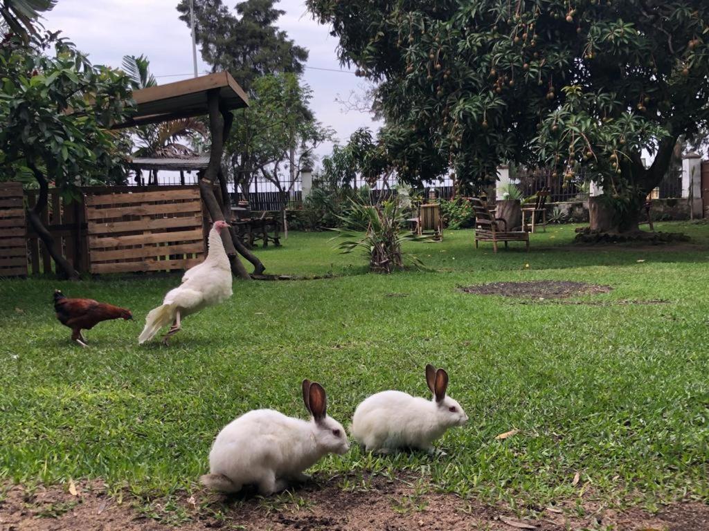 Kivu Beach Garden Gisenyi Bagian luar foto