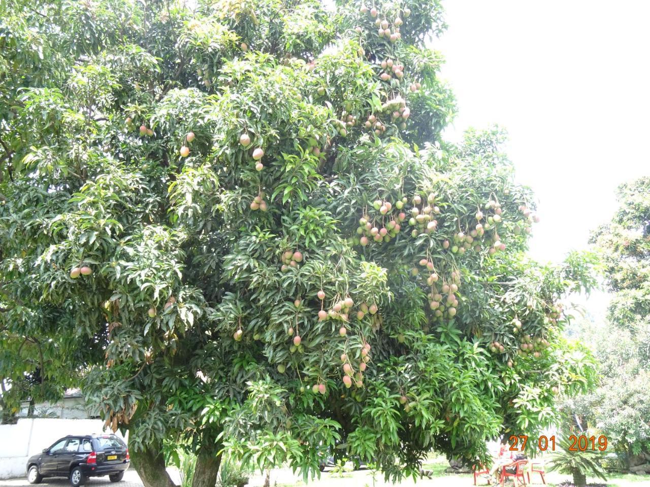 Kivu Beach Garden Gisenyi Bagian luar foto